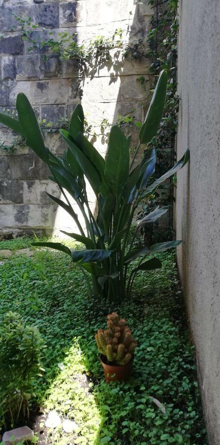 Apartman Stijepcic Herceg Novi Dış mekan fotoğraf